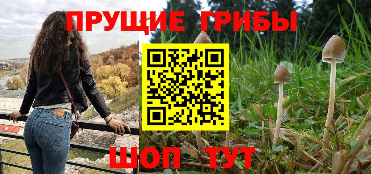 Галлюциногенные грибы Cubensis Архангельск