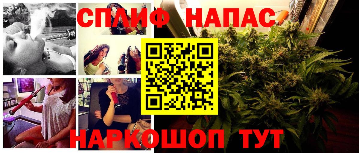 Бошки Шишки семена Архангельск